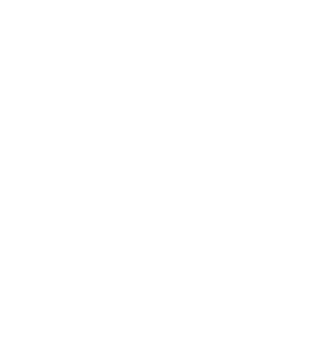 Pyramide Déclic Action / P.A.E.F / Employeur